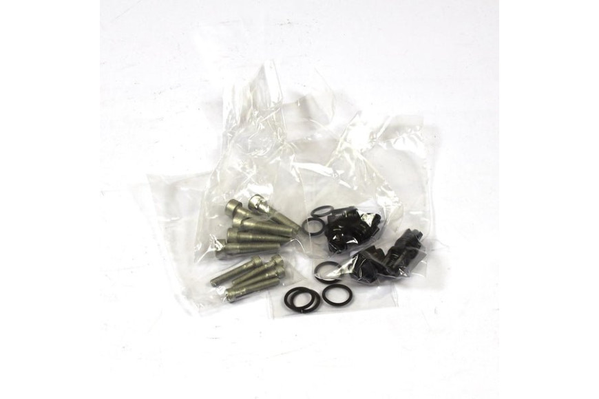 Kit Valvole Chck - 193806GS - Originale Briggs & Stratton