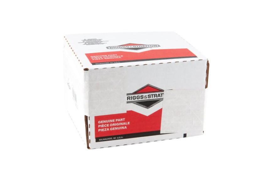 Head, Cylinder - 84003960 -  Briggs & Stratton - Genuine Spare Parts