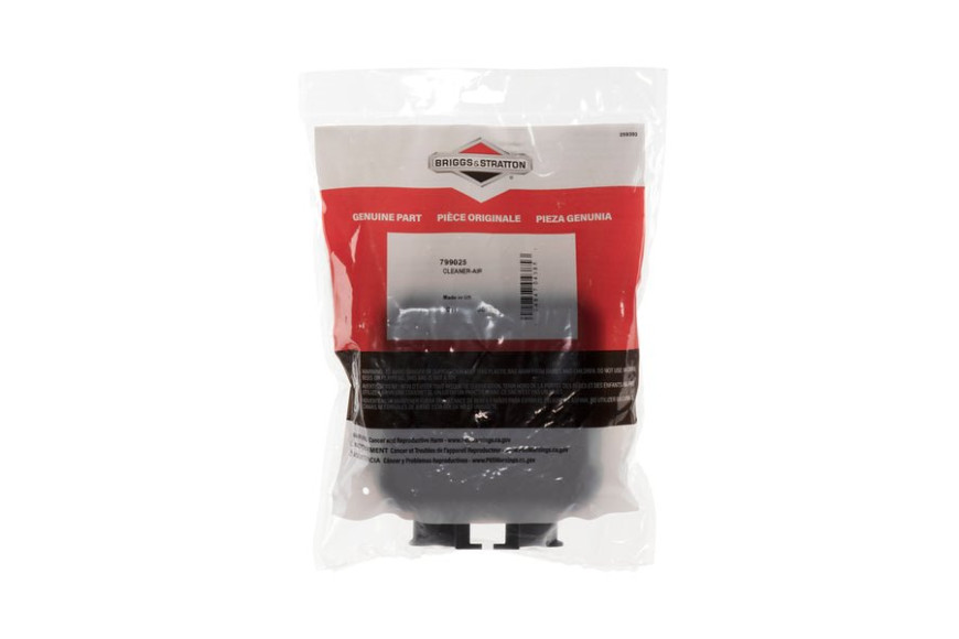 Filtro Aria - 799025 - Originale Briggs & Stratton