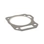 Guarnizione Testata - 591445 - Originale Briggs & Stratton