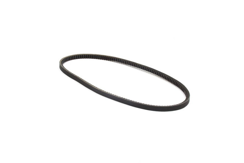 Cinghia Dentata 39.62 - Originale Snapper - 1736554YP
