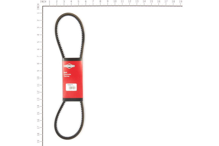Cinghia Dentata 39.62 - Originale Snapper - 1736554YP