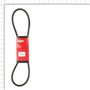 Cinghia Dentata 39.62 - Originale Snapper - 1736554YP
