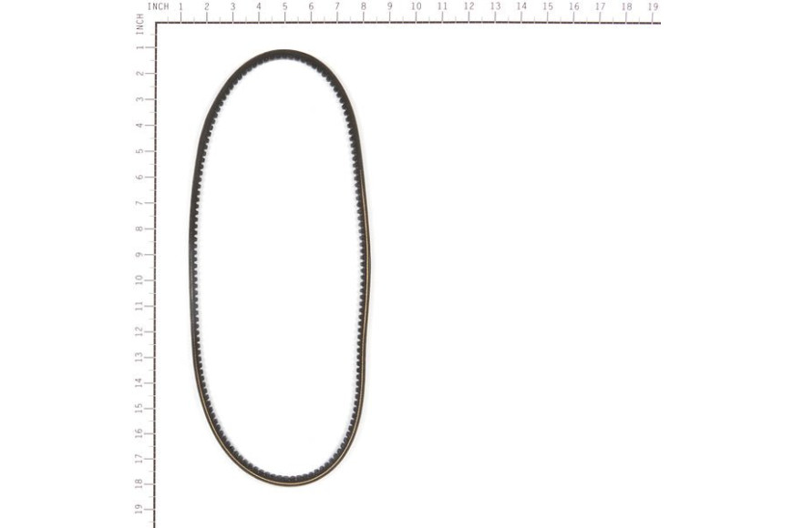 Cinghia Dentata 39.62 - Originale Snapper - 1736554YP