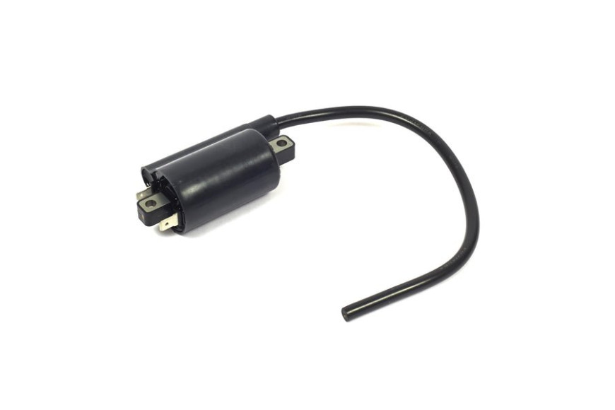 Colio Magneto - 820037 - Originale Briggs & Stratton
