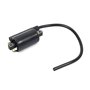 Coil-Ignition - 820037 -  Briggs & Stratton - Genuine Spare Parts