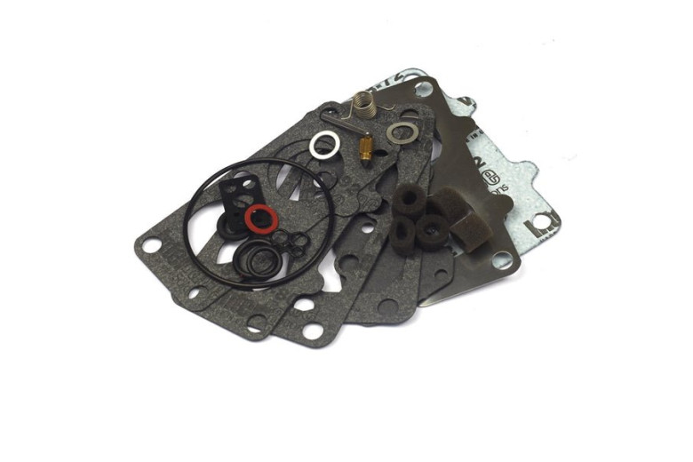 Kit Carburatore Ex 792455  - 797890 - Originale Briggs & Stratton