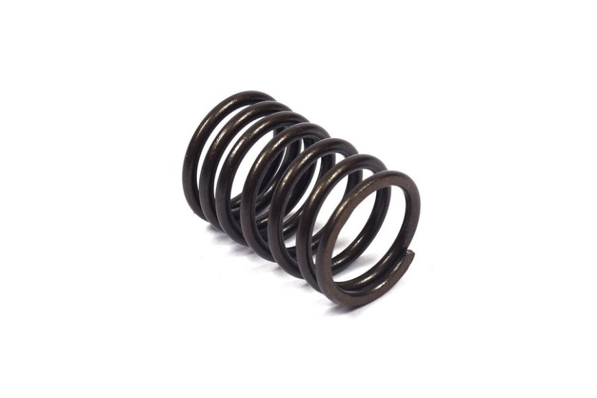 Molla Valvola Ex 260552 - 690520 - Originale Briggs & Stratton