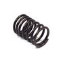 Molla Valvola Ex 260552 - 690520 - Originale Briggs & Stratton