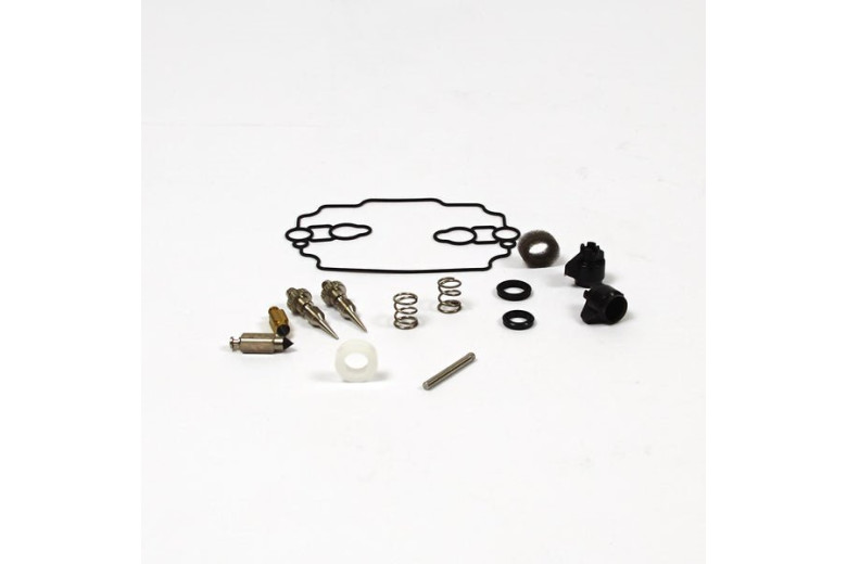 Kit-Carb Overhaul - 842873 -  Briggs & Stratton - Genuine Spare Parts