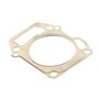 Guarnizione Testa 185400 - 710205 - Originale Briggs & Stratton
