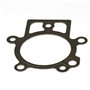 Guarnizione Testa - 694872 - Originale Briggs & Stratton