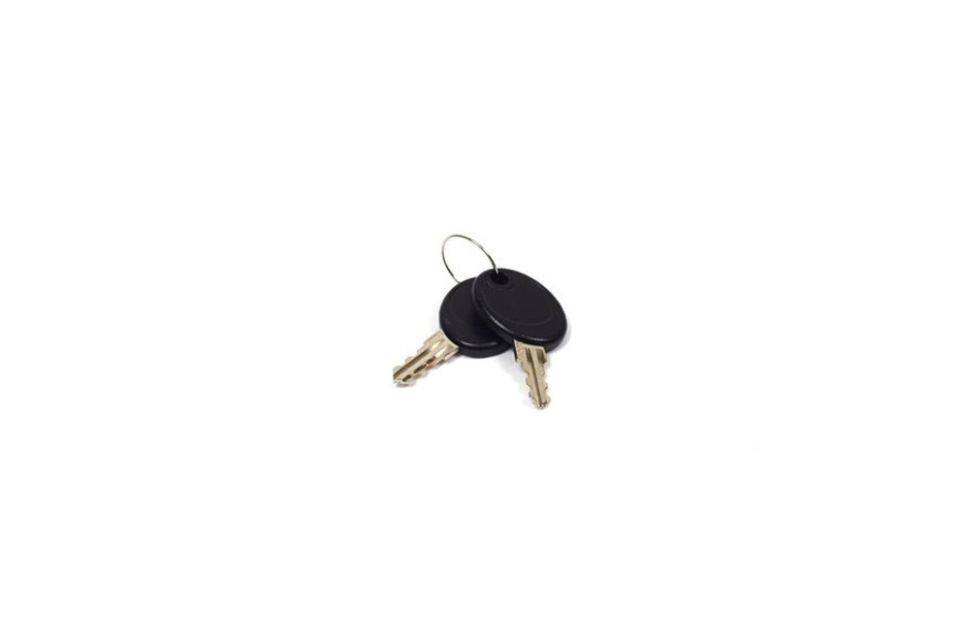 Key-Latch - 207652GS - Originale Briggs & Stratton