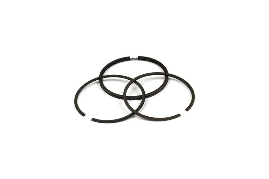 Serie Anelli  - 493261 - Originale Briggs & Stratton