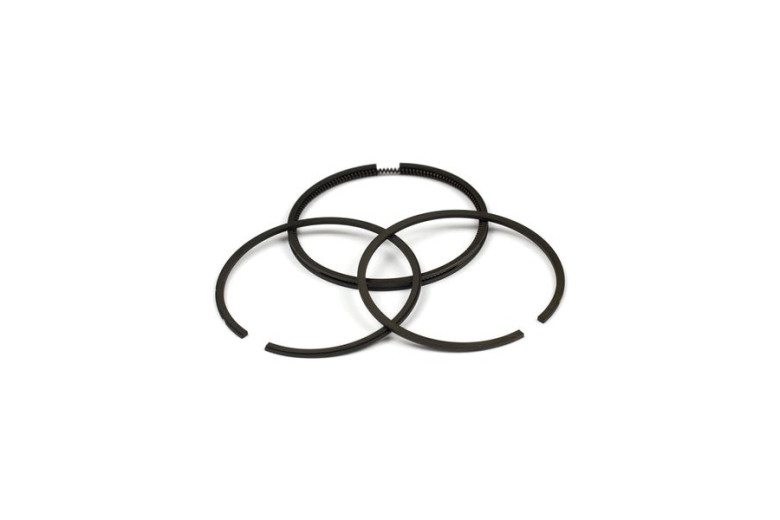 Serie Anelli  - 493261 - Originale Briggs & Stratton
