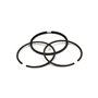 Serie Anelli  - 493261 - Originale Briggs & Stratton