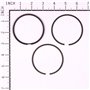 Serie Anelli  - 493261 - Originale Briggs & Stratton