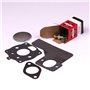 Kit Carburatore - 394989 - Originale Briggs & Stratton - sostituisce - 391071