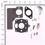 Kit-Carb Overhaul - 394989 -  Briggs & Stratton - Genuine Spare Parts