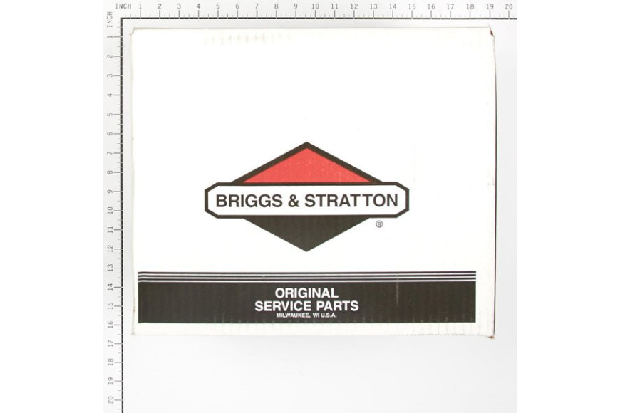 Pump - 314441GS - Originale Briggs & Stratton