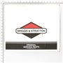 Pump - 314441GS - Originale Briggs & Stratton
