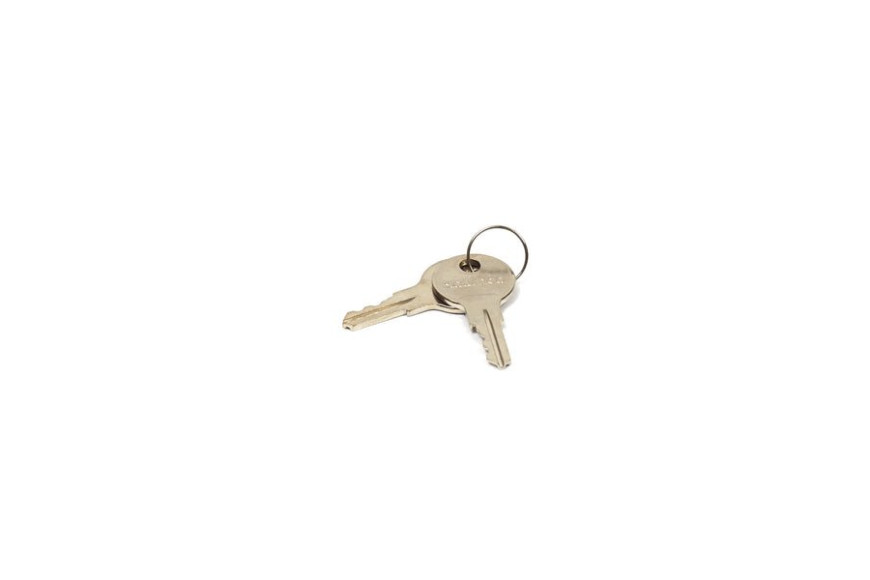 Key-Latch - 314290GS - Originale Briggs & Stratton