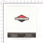 Gruppo Avviamento - 593959 - Originale Briggs & Stratton