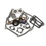 Serie Guarnizioni Qxm - 590508 - Originale Briggs & Stratton