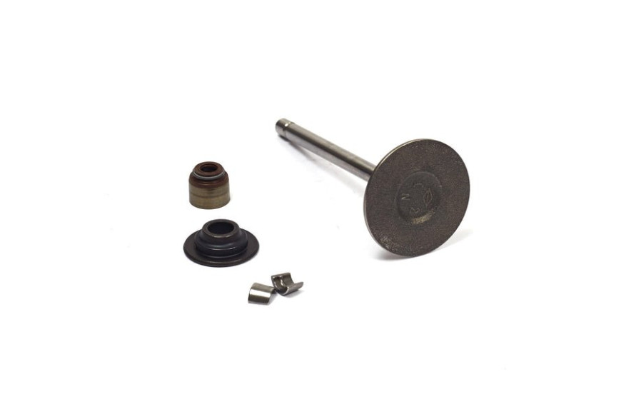 Valvola Aspirazione - 843730 - Originale Briggs & Stratton - sostituisce - 809902