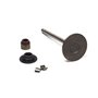 Valvola Aspirazione - 843730 - Originale Briggs & Stratton - sostituisce - 809902