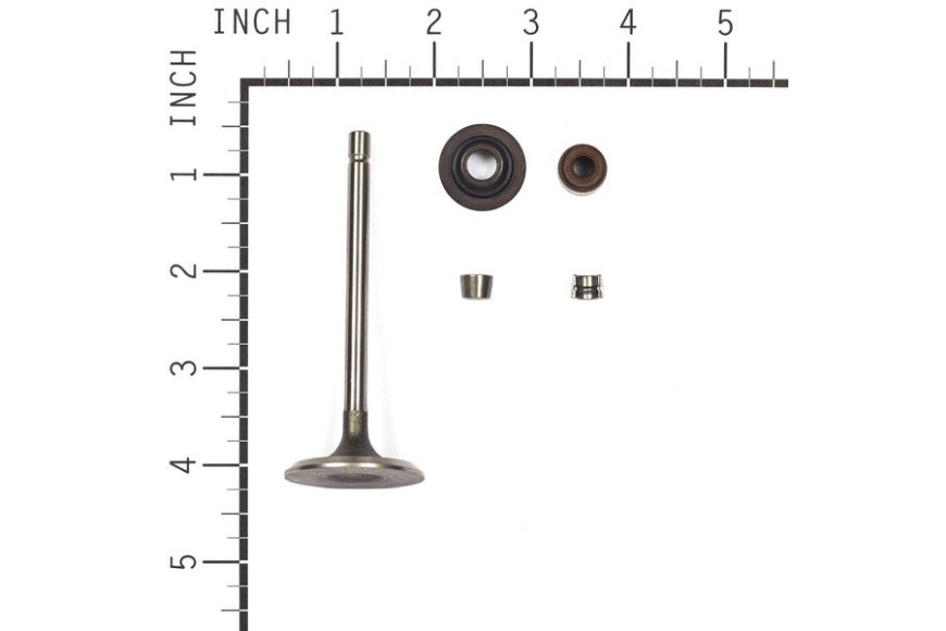Valve-Intake - 843730 -  Briggs & Stratton - Genuine Spare Parts