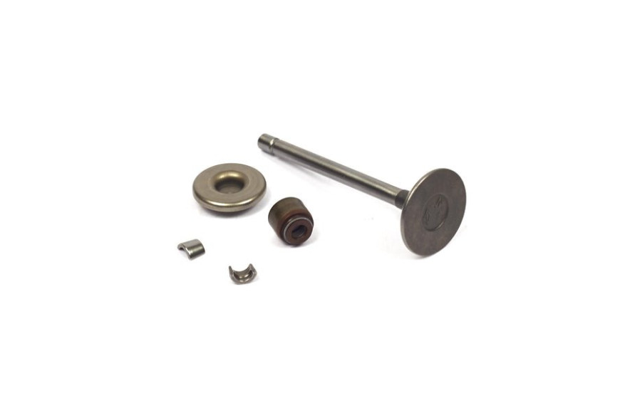 Valve, Intake - 807680 -  Briggs & Stratton - Genuine Spare Parts