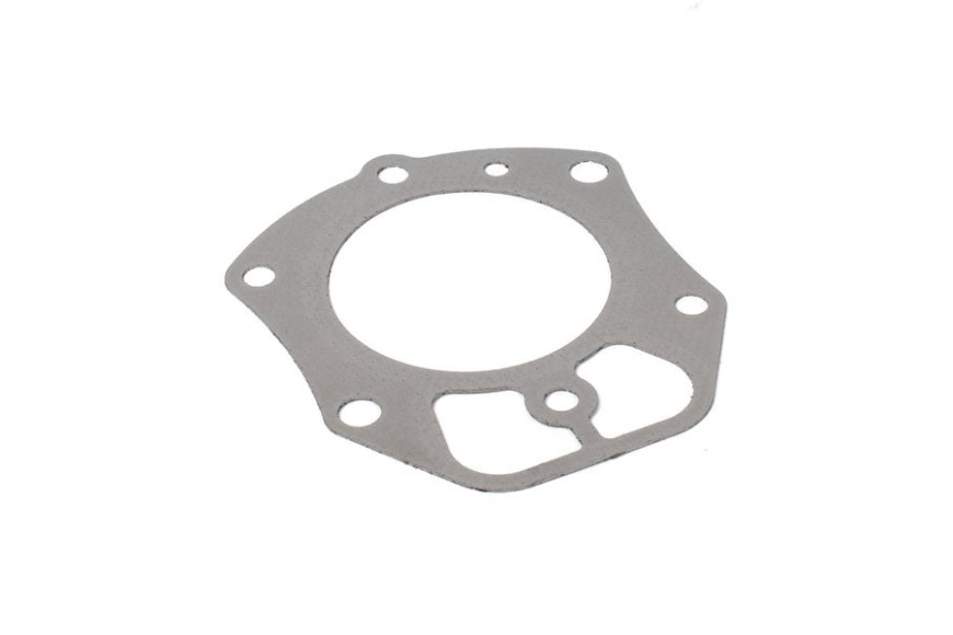 Guarnizione Cilindro - 809730 - Originale Briggs & Stratton