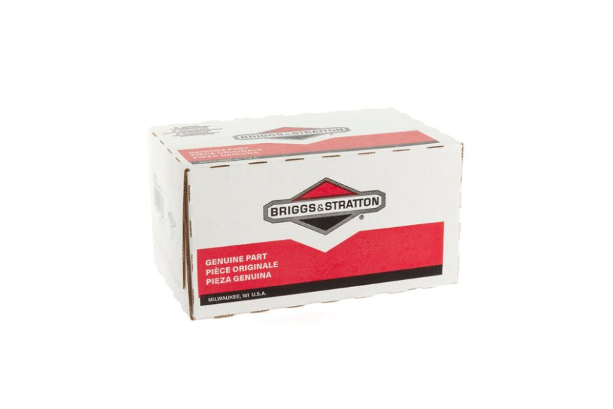 Carburatore - 799882 - Originale Briggs & Stratton