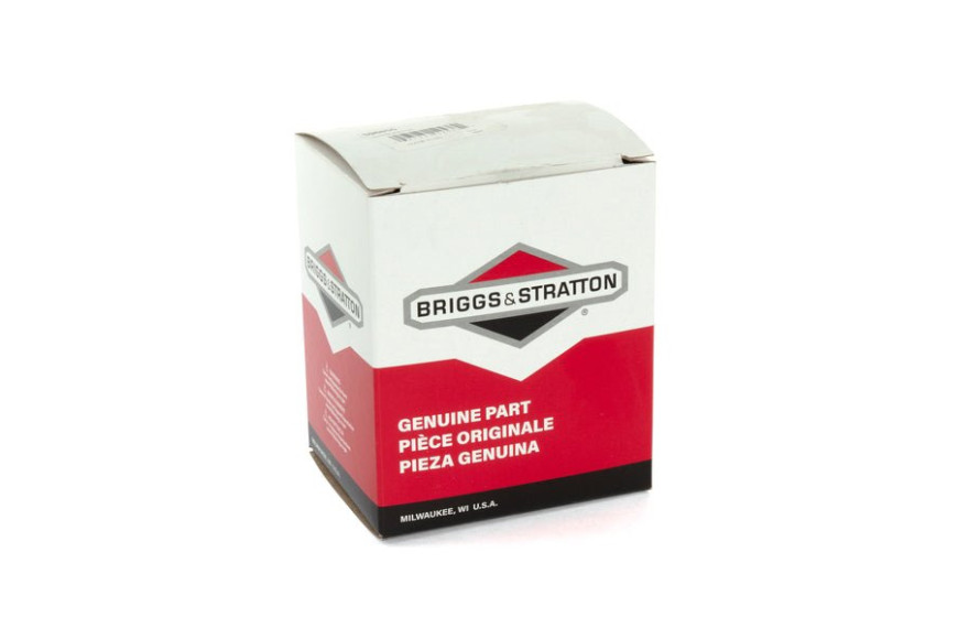 Carburatore - 596855 - Originale Briggs & Stratton