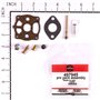 Kit Carburatore - 291691 - Originale Briggs & Stratton