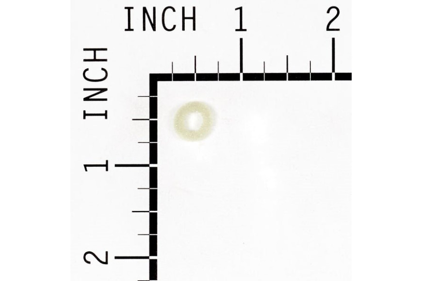 Seal-Throttle Shaft - 692279 -  Briggs & Stratton - Genuine Spare Parts
