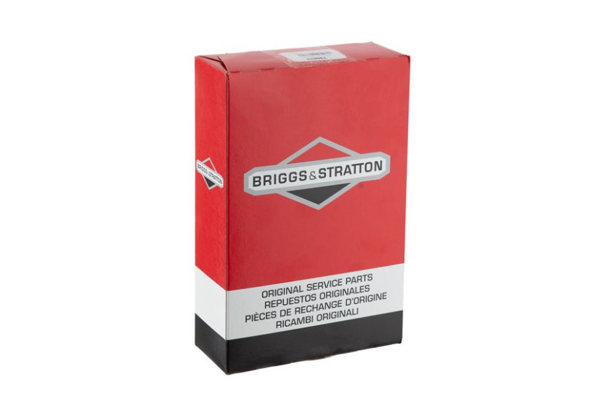Supporto Filtro Aria - 790631 - Originale Briggs & Stratton