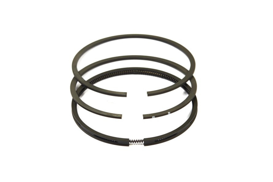 Serie Anelli Ex 391780  - 499996 - Originale Briggs & Stratton