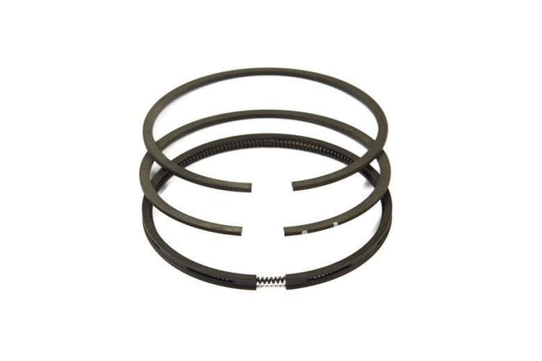 Serie Anelli Ex 391780  - 499996 - Originale Briggs & Stratton