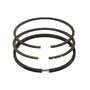 Serie Anelli Ex 391780  - 499996 - Originale Briggs & Stratton