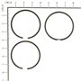 Serie Anelli Ex 391780  - 499996 - Originale Briggs & Stratton