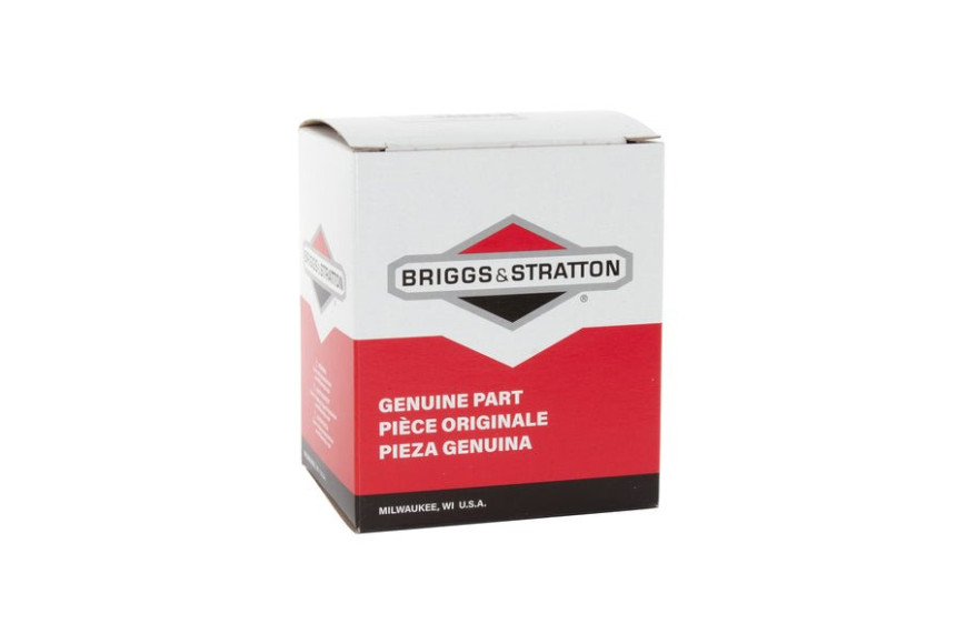 Carburatore Mod. 08P - 595656 - Originale Briggs & Stratton