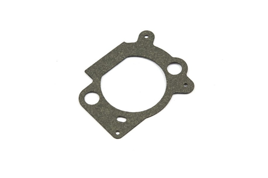 Guarniz. Filt. Aria Ex 273364 348 - 691894 - Originale Briggs & Stratton