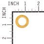 Rondella .62-1.0-.18 Fl - Originale Snapper - 17X165MA