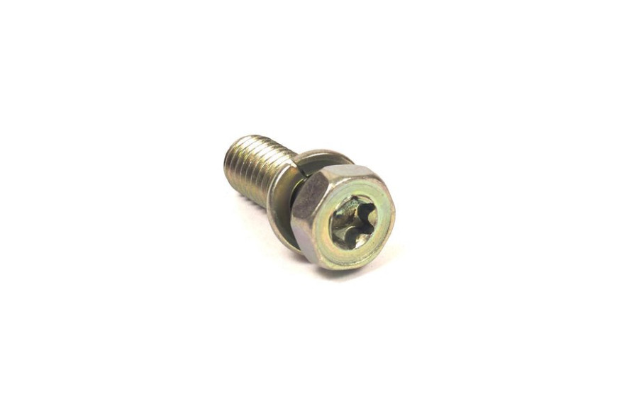 Vite Ex 805158 - 691902 - Originale Briggs & Stratton