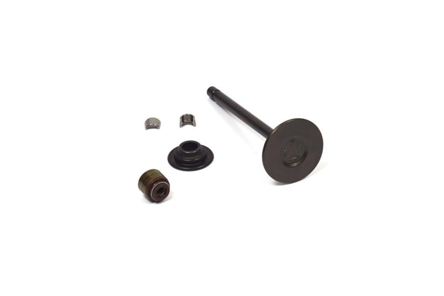 Valve-Exhaust - 844787 -  Briggs & Stratton - Genuine Spare Parts