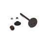 Valve-Exhaust - 844787 - Originale Briggs & Stratton - sostituisce - 809901
