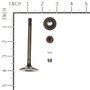 Valve-Exhaust - 844787 -  Briggs & Stratton - Genuine Spare Parts
