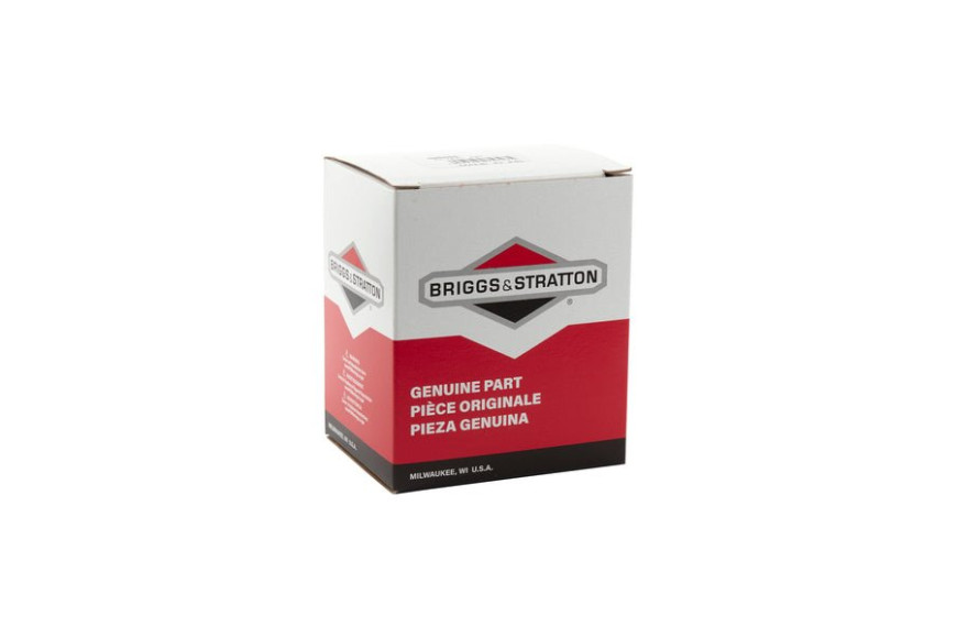 Filtro New Series 800-850-875 115P-123P-125P - 597265 - 595853 - Originale Briggs & Stratton